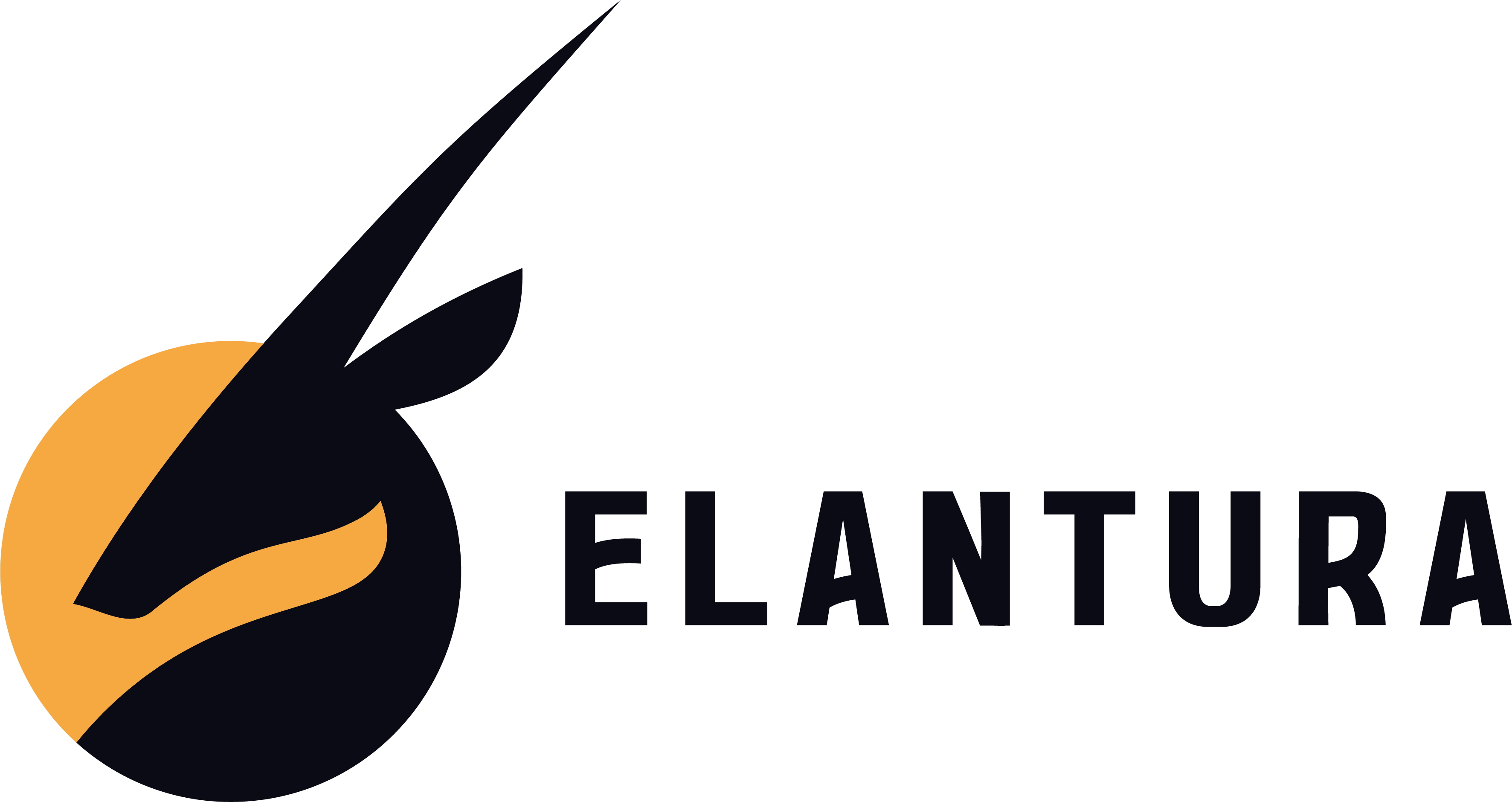 Elantura logo